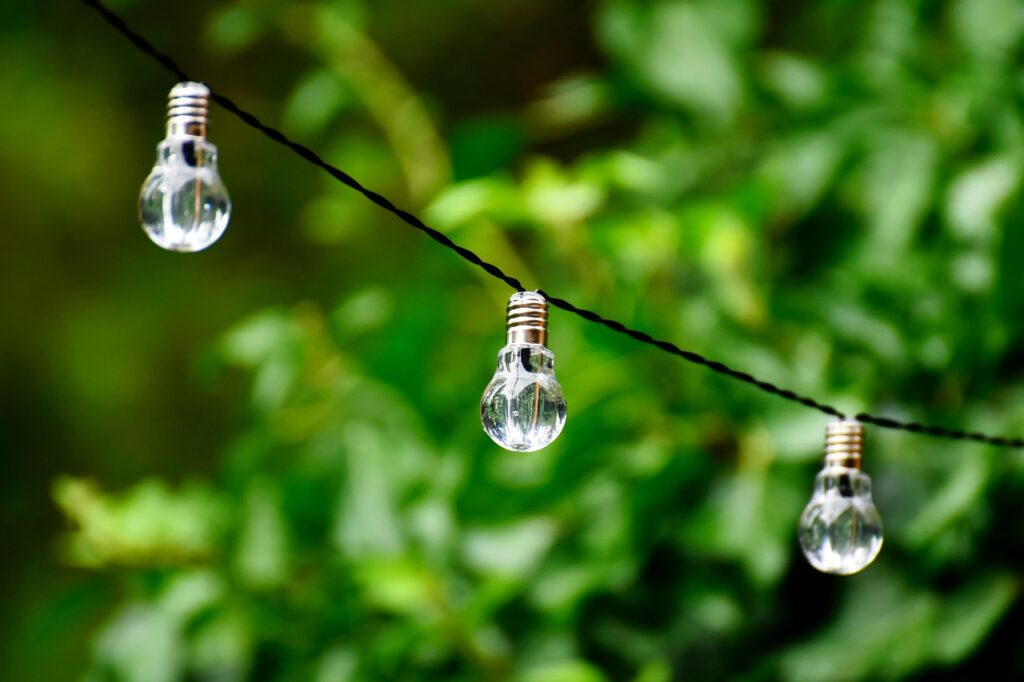 lightbulb, energy, nature-4372786.jpg