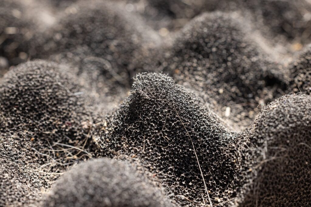sponge, dirt, gray-6674524.jpg